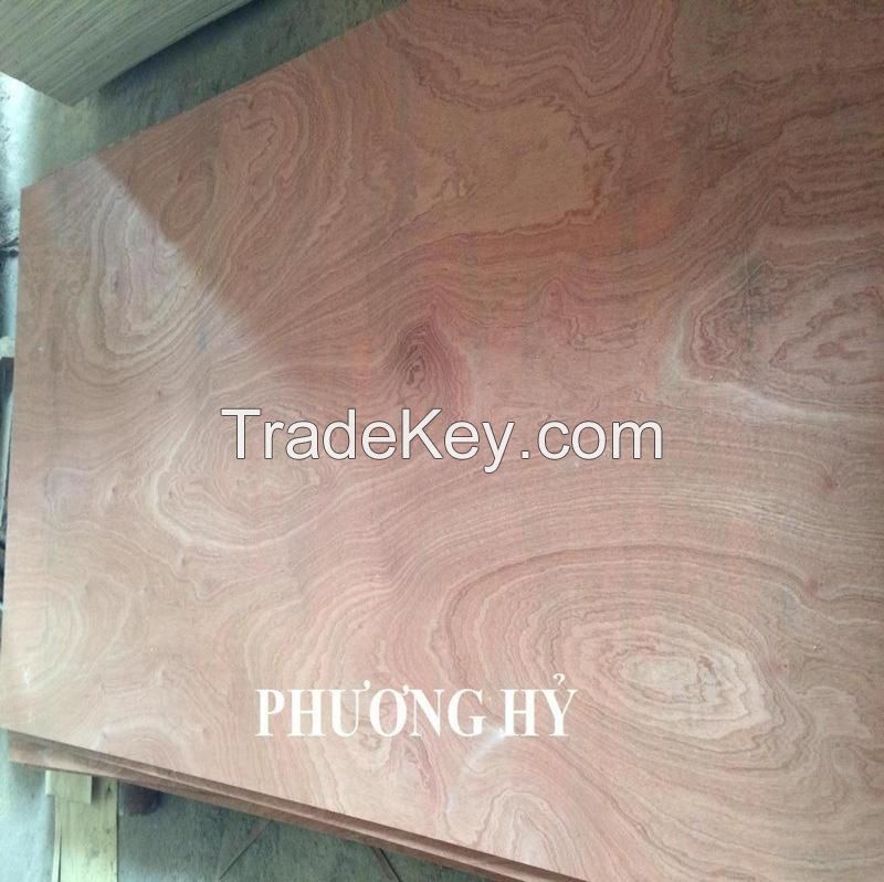 Sell Cheap Commercial Plywood 4x8 made 100% Vietnam