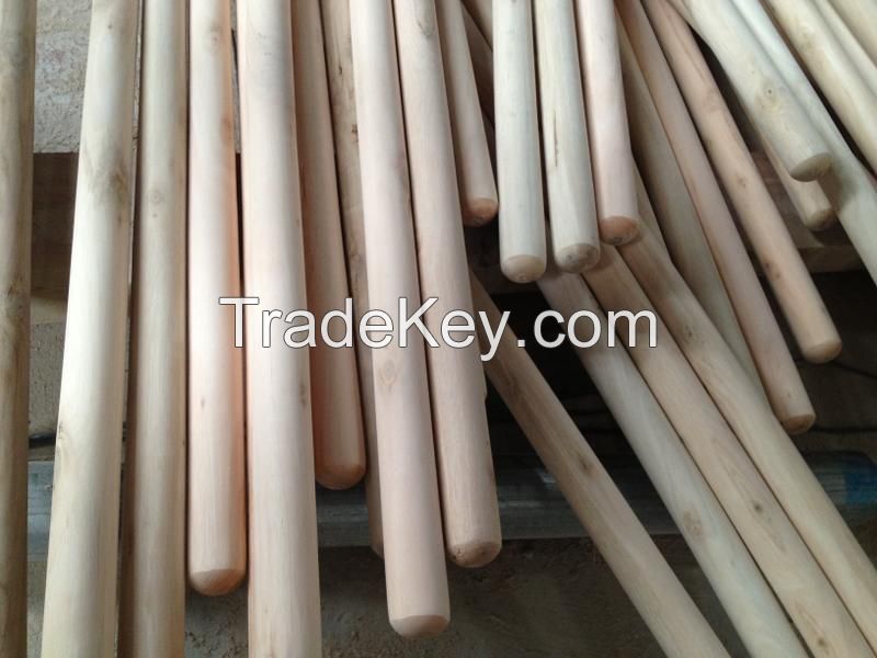 plastic broom, wooden broom handle, broom stick