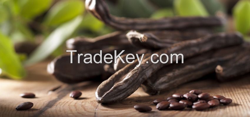 Carob powder from Algeria , factory price and best quality