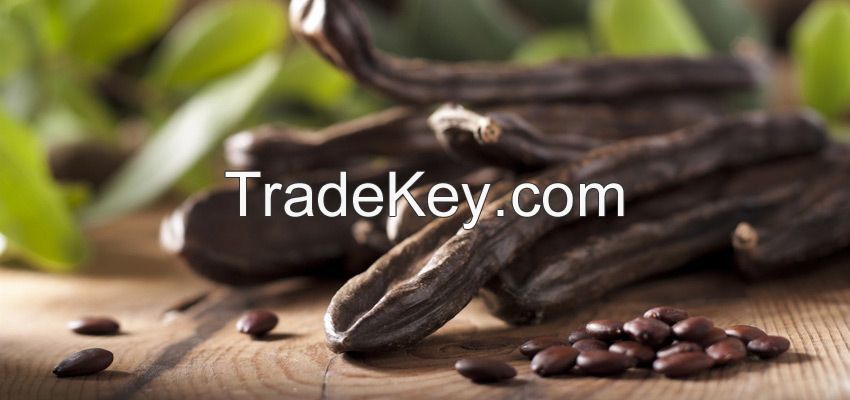 Carob Powder From Algeria , Factory Price And Best Quality