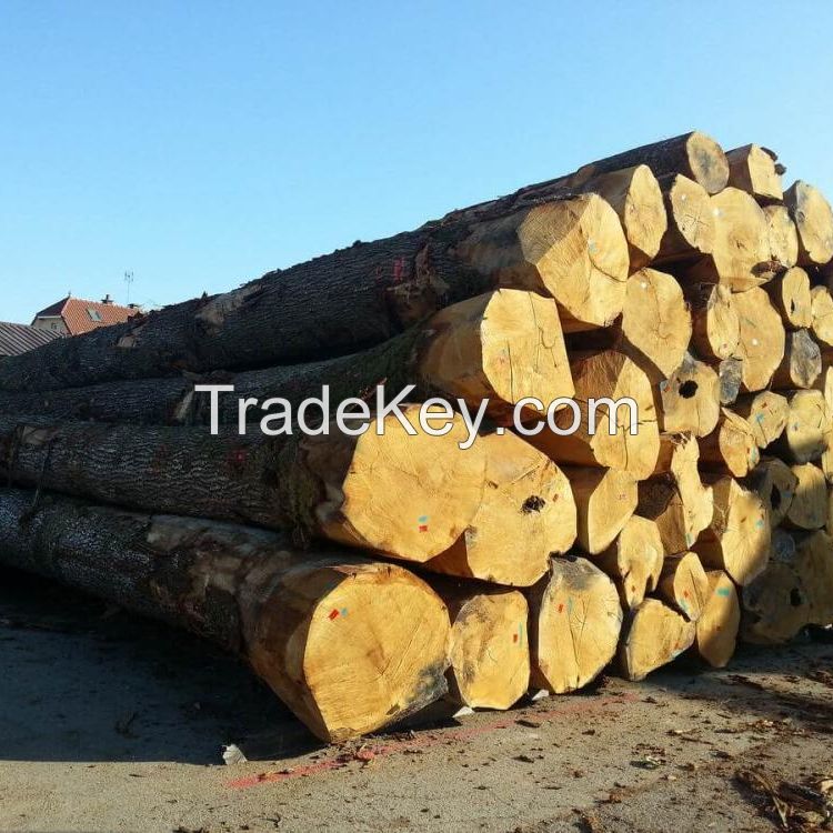 Kwila wood round logs