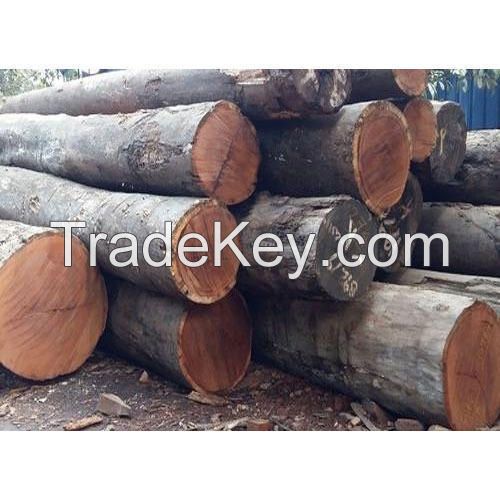 Kwila wood round logs