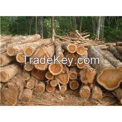 Kwila wood round logs