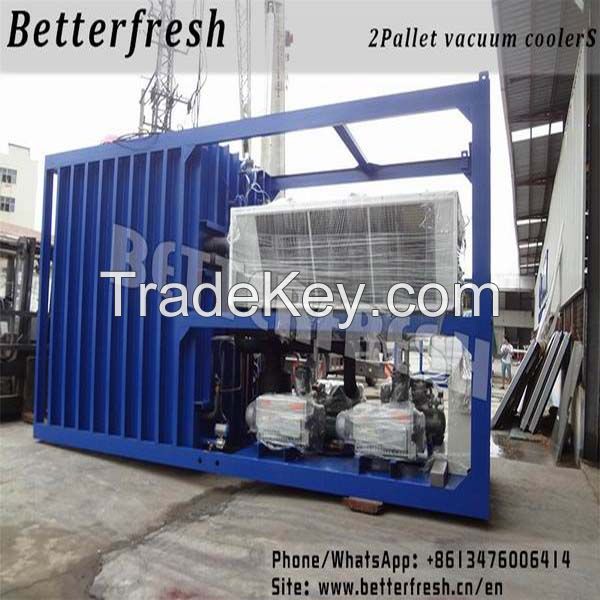 Dongguan Betterfresh effective refrigeration preservation pre cooling machine vacuum coolers keep low temperature