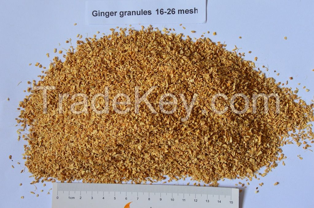 Dehydrated  ginger granules 16-26mesh