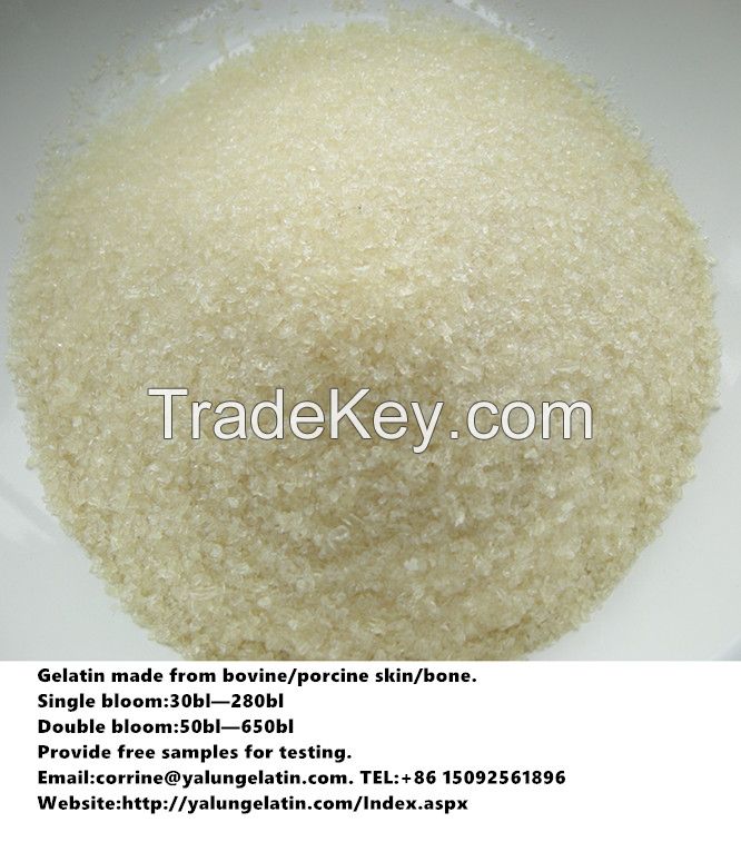 Edible gelatin/Food additive/yogurt gelatin