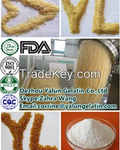 Technical gelatin/Jelly glue for Printing and packing