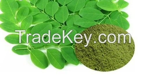 Moringa leaf powder