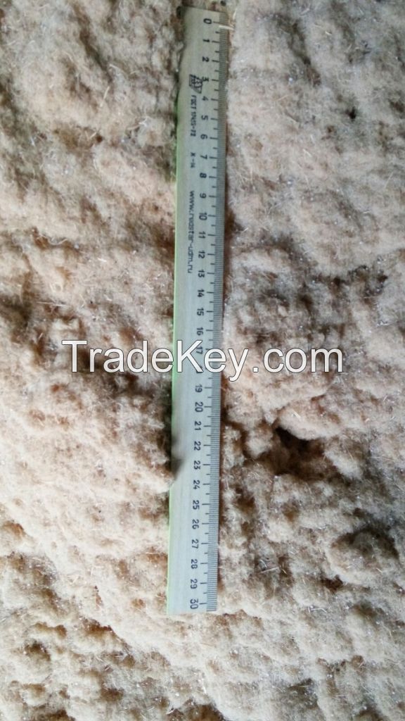 Wood Fiber