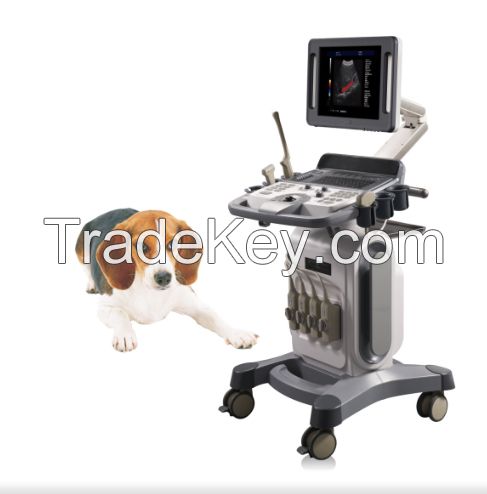 Vet Trolley Ultrasound Scanner K10