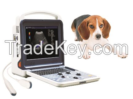 Vet Color Doppler Ultrasound Scanner K6