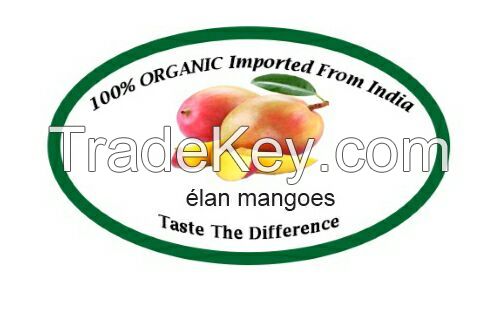 EXPORTING: Ã©lan mangoes.  It is 100% Fresh Organic Mangoes from India.