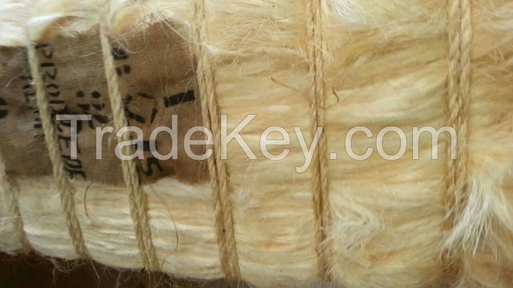 Sisal Fiber UG GRADE A