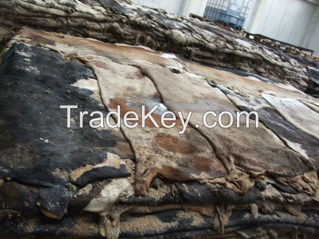 Dry and Wet Salted Donkey/Goat Skin /Cow Hides