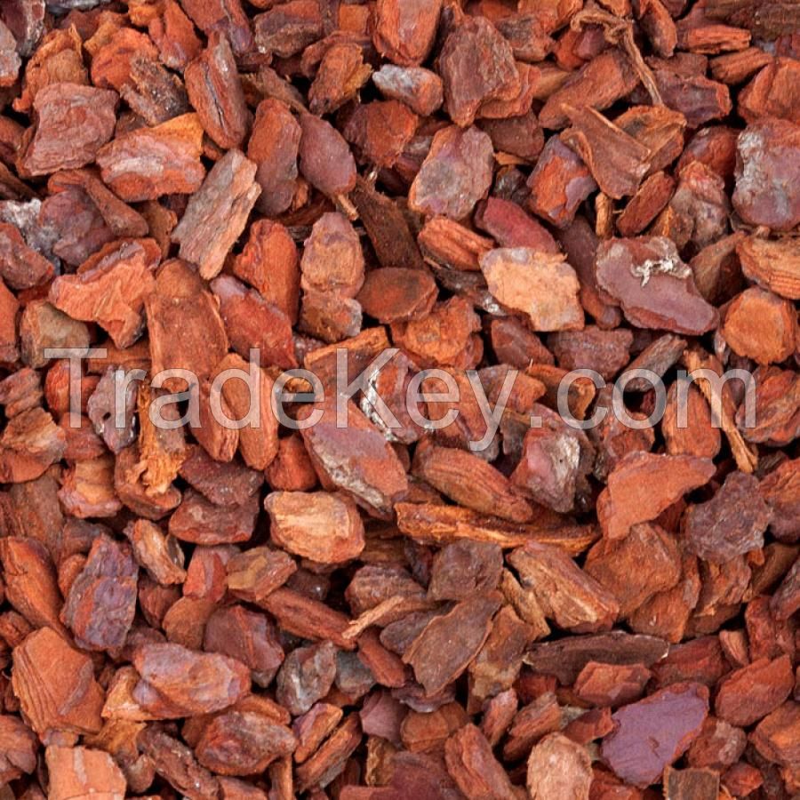 Reptiles Nuggets Pine Bark Mulch