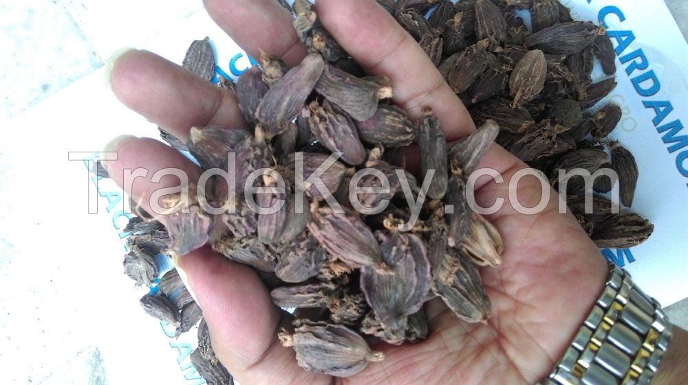 Black Cardamom