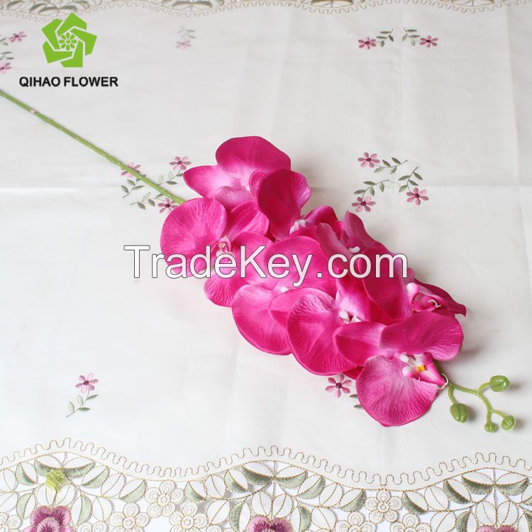 hot sale colorful flower for interior decoration orchid