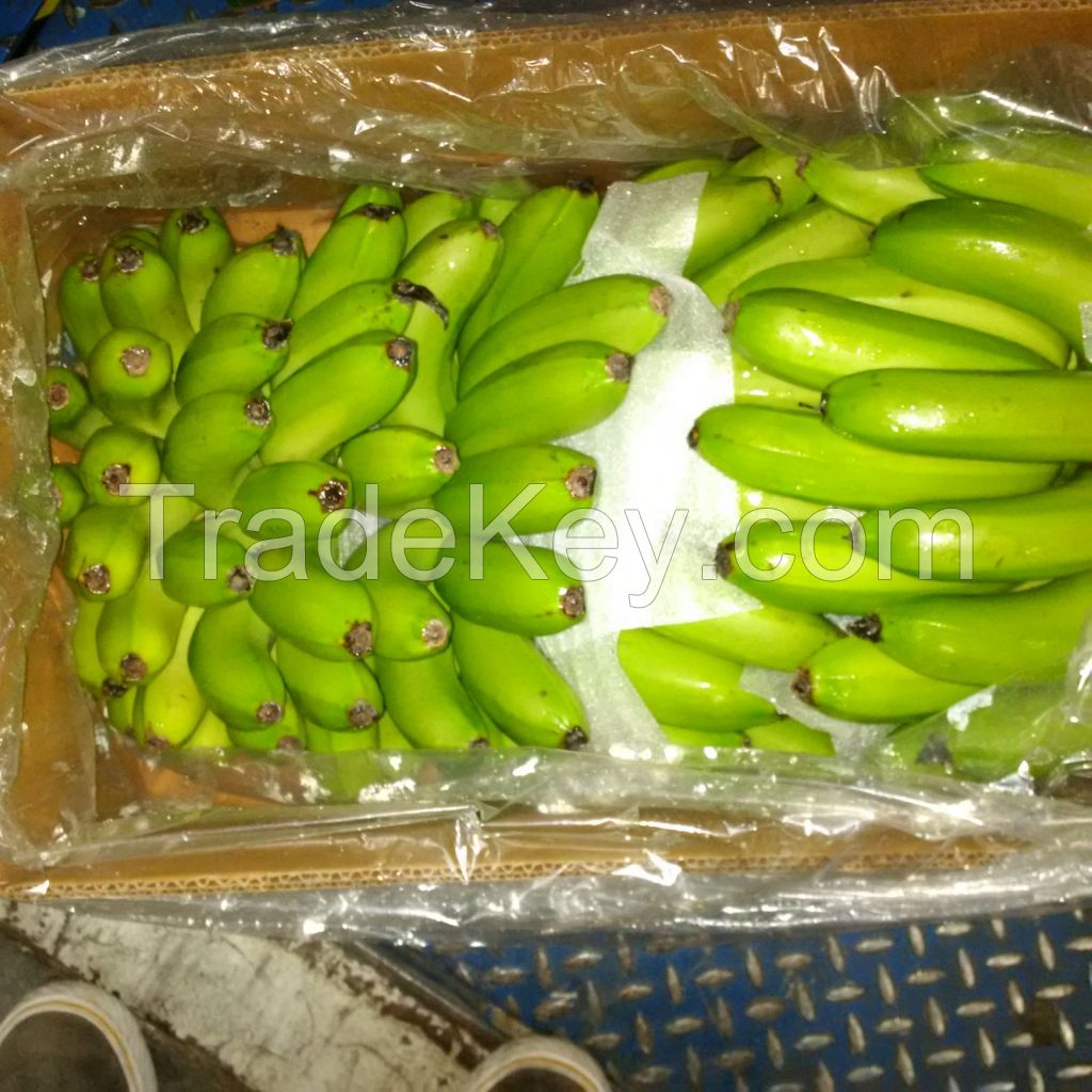 G9 Banana