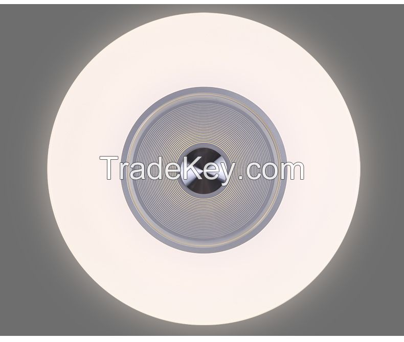 traditional led flush mount ceiling lights Aluminum ceiling lamps  BZN-CL0041