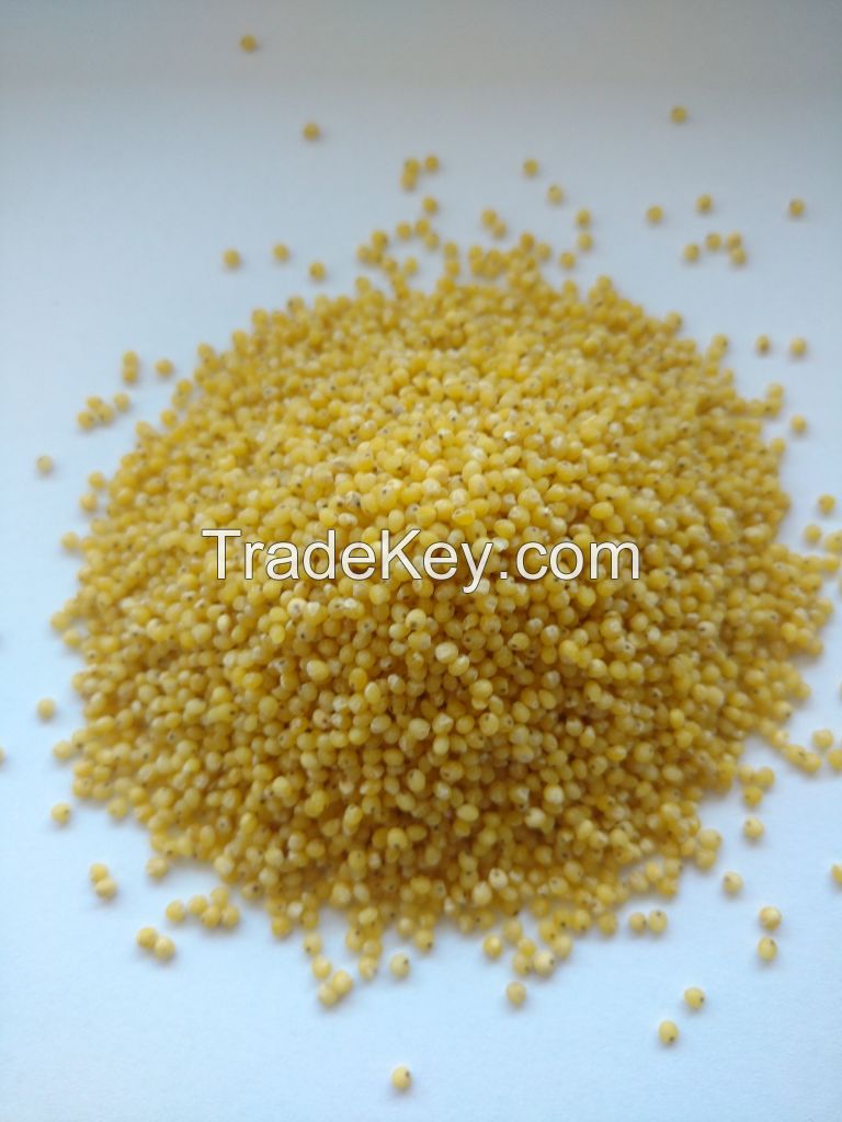 Offer Millet, Hulled Millet