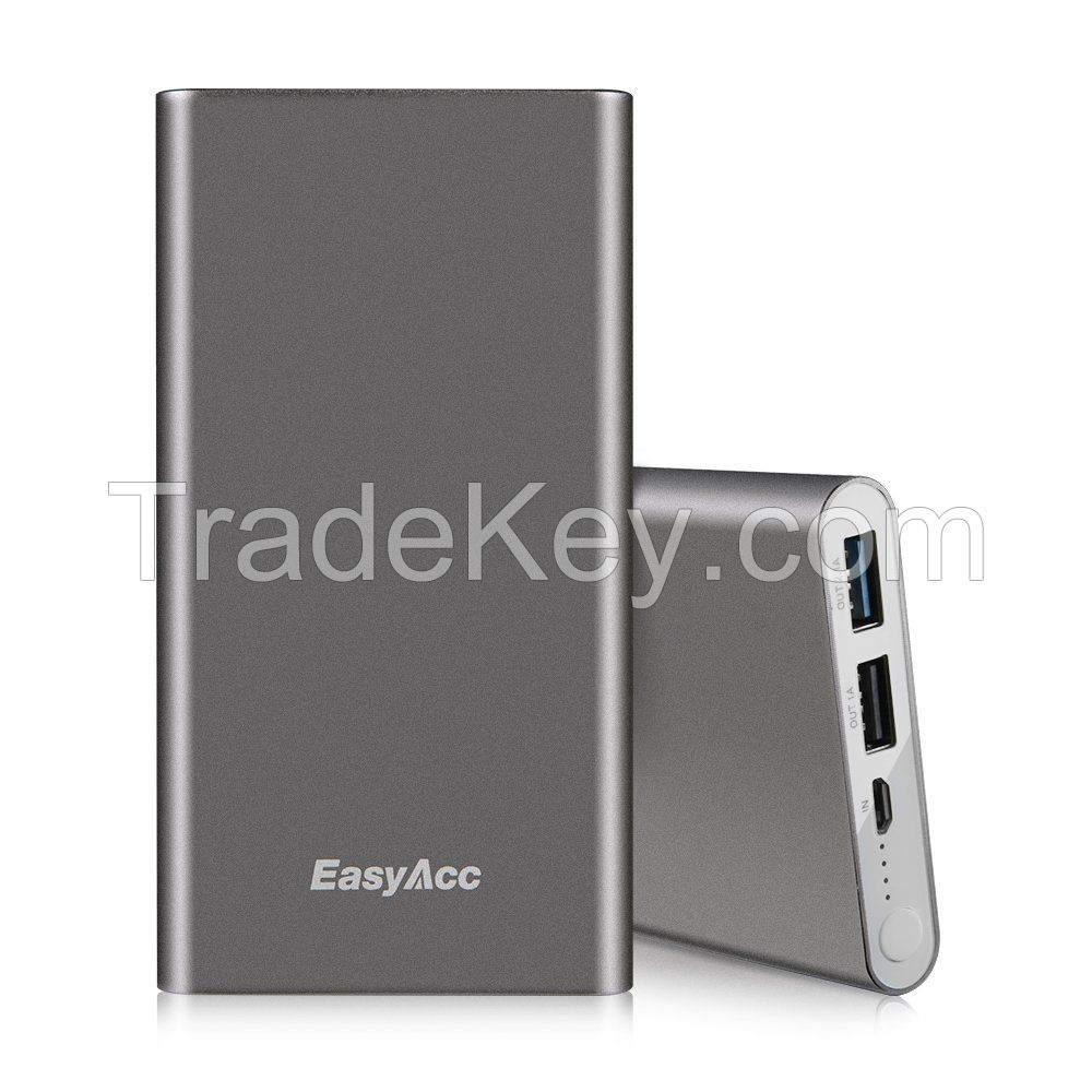 EasyAcc 10000mAh Dual USB Power Bank