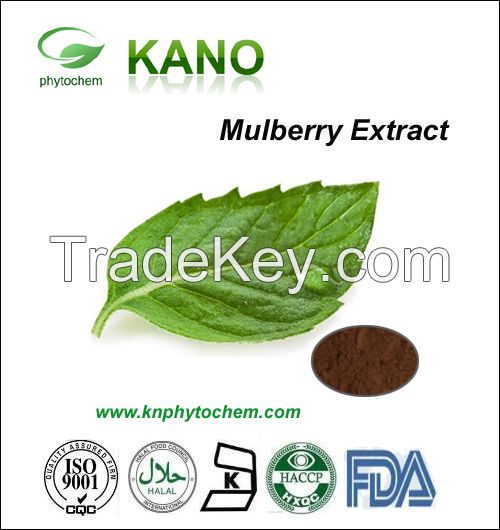 100%Natural Mulberry Extract 1%,2% DNJ by HPLC Morus AlbaL.  