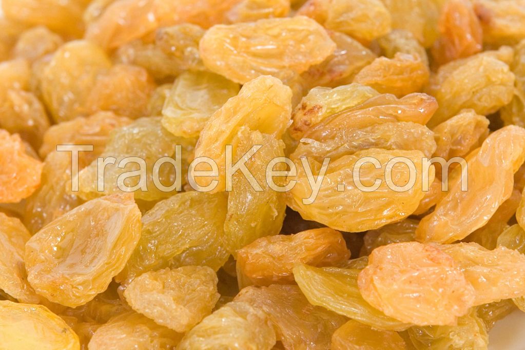 GOLDEN RAISINS AND OTHER VARIETIES