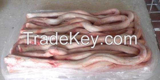 Beef Tendon and Frozen Beef Pizzles for Sale