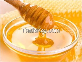 100% Natural Raw Organic Rapeseed Bulk Honey