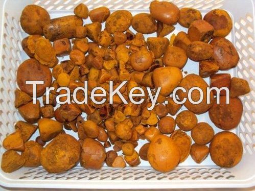 Natural Cow/ox/cattle Gallstones for sale