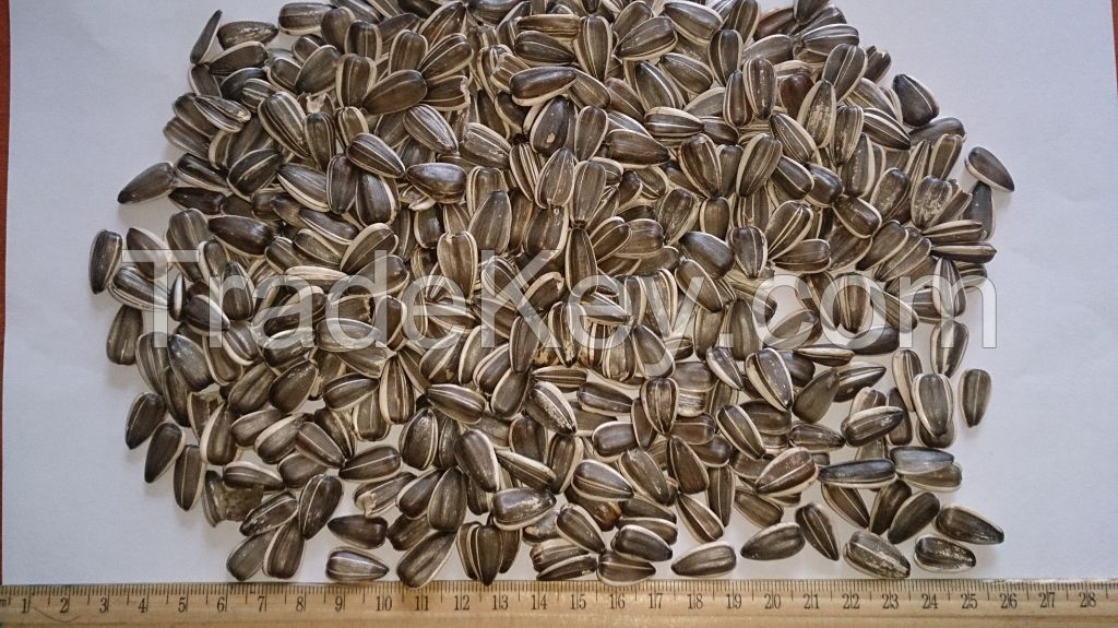 Black sunflower seeds with white stripes