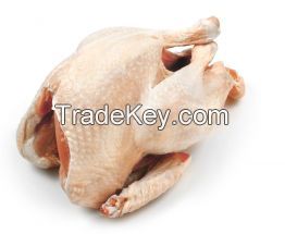 Frozen Turkey Meat