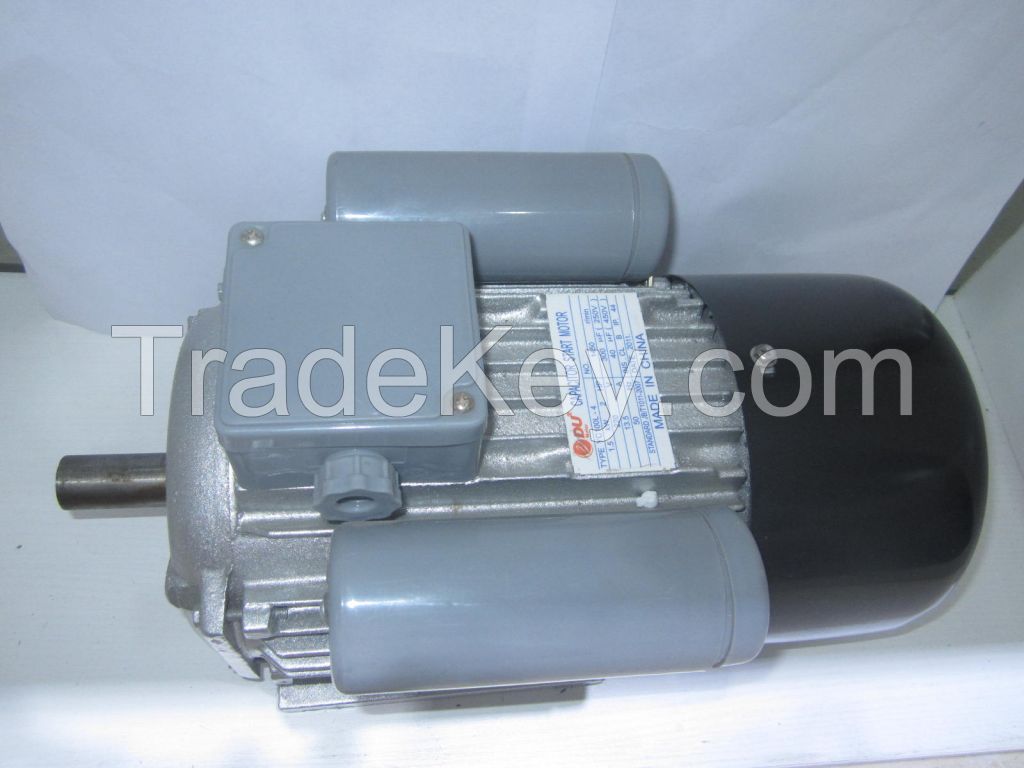 YC/YCL Series Electric Motor With Cast Iron Body
