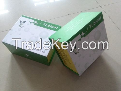 Human Glycosaminoglycans(GAGs)ELISA Kit 