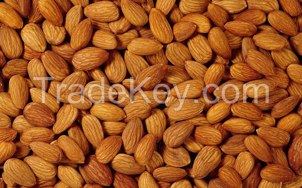 TOP QUALITY RAW NATURAL ALMOND NUTS