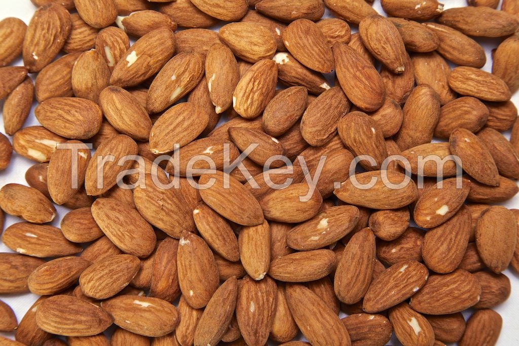 Best Quality Almond Nuts, Grade A Affordable Price