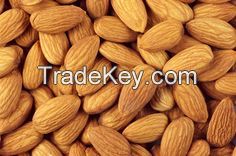 Best Quality Almond Nuts Well Preserved New Crop 2016