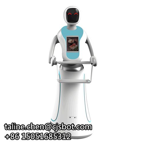 Food delivery robot Intelligent humanoid robotic