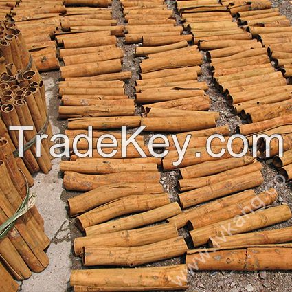 Cinnamon/cassia tube/powder/selected/ground