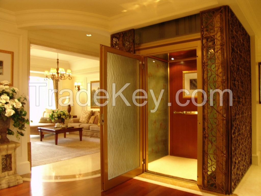 400kg Capacity Home Elevator with Effective and Energy-Saving cost