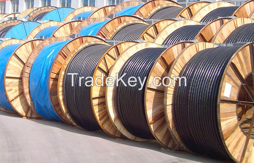 Electrical L/M/H Voltage copper wires and power cable