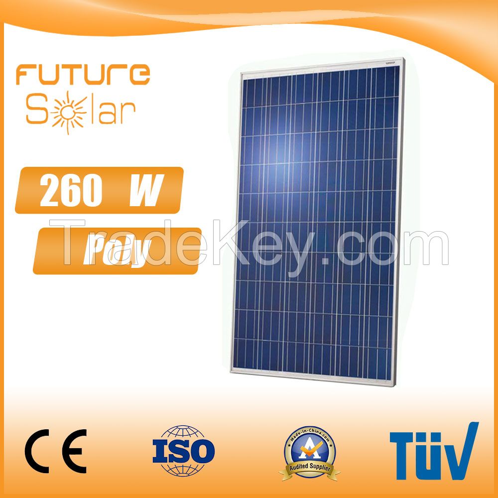 Futuresolar A Grade 250 watts Poly solar module