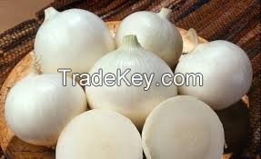 Golden fresh onion ,