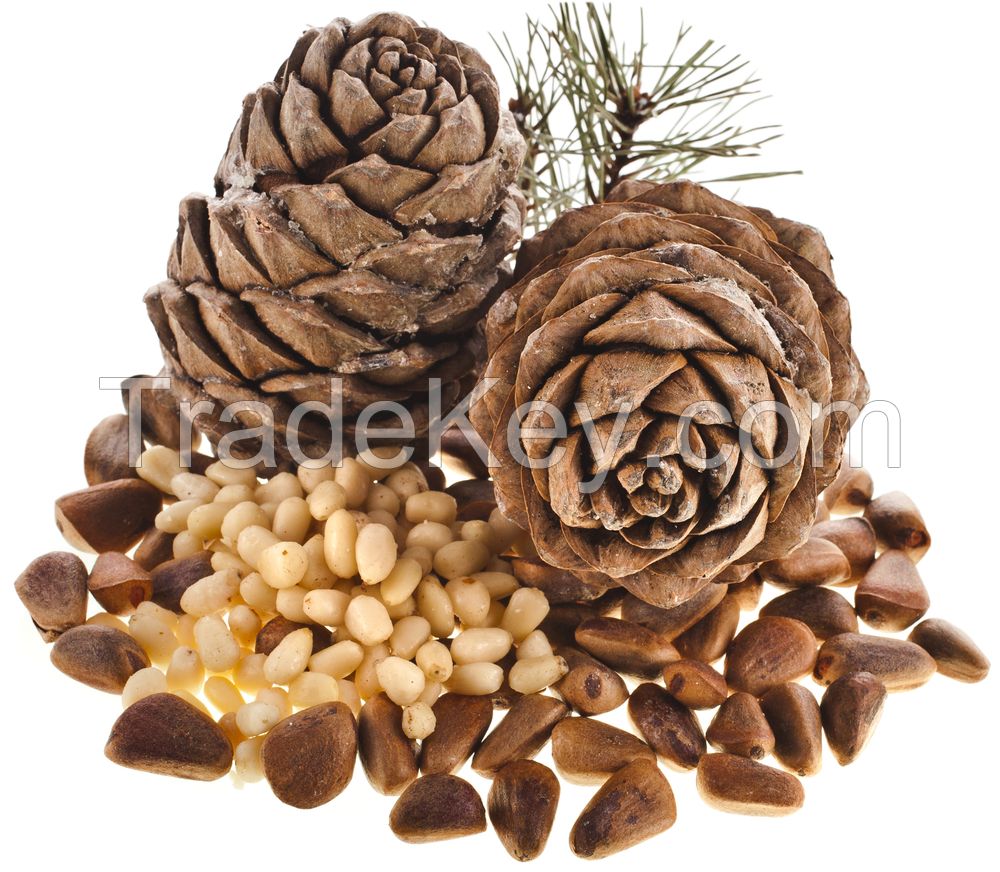 Pine (cedar) nut oil (250 ml): $9-35