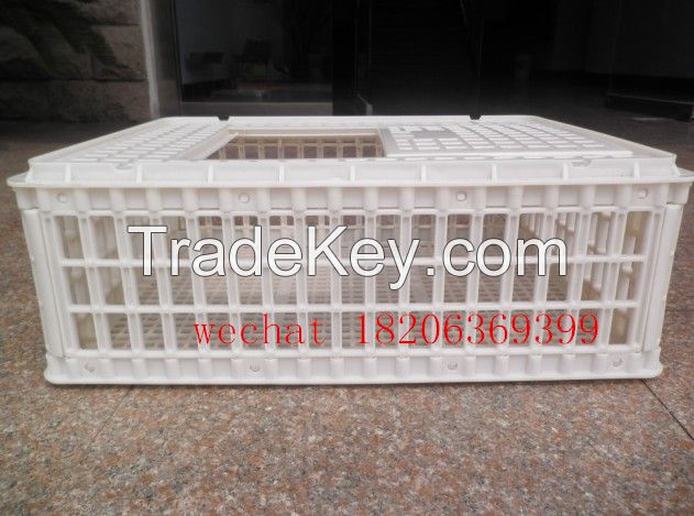 Plastic chicken transport crate /cage