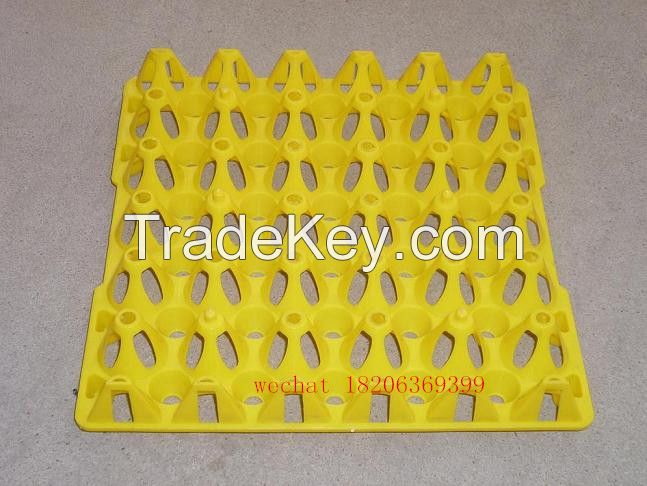 plastic egg tray for 30 chicken eggs