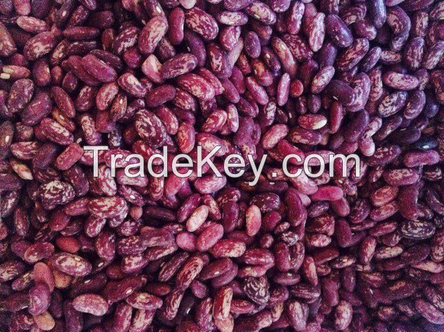 Red Kidney Beans