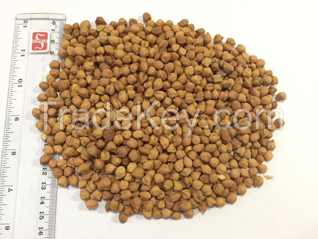 Chickpeas