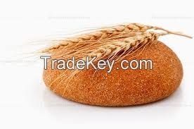 Bread wheat and  feed wheat;