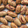 light speckled kidney beans